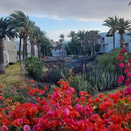 Apartment Primavera Beachfront Pool Terrace And Ac